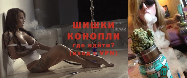 дурь Инсар