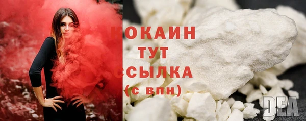 ешки Инта