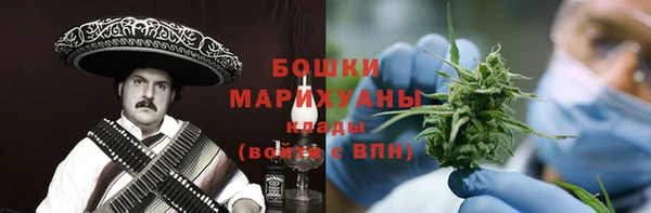 ешки Инта