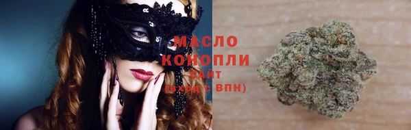 ешки Инта
