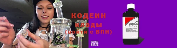 дурь Инсар