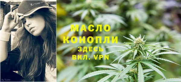 дурь Инсар